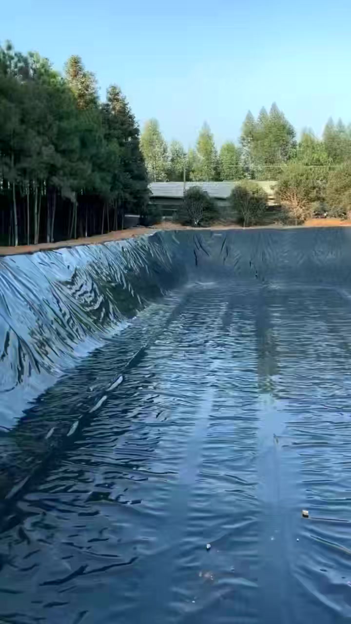 招商早知道：6G 医药流通 储能